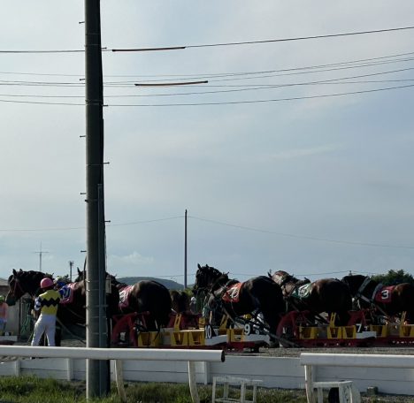 ばん馬。