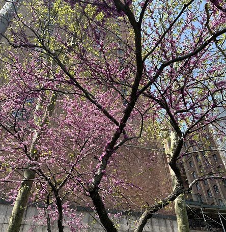 2024年5月4日_NY@USA