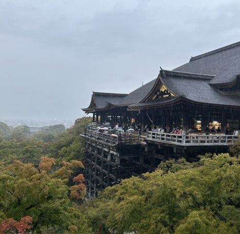 ポートレートあるある。