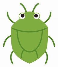 ラッキーカメムシ？