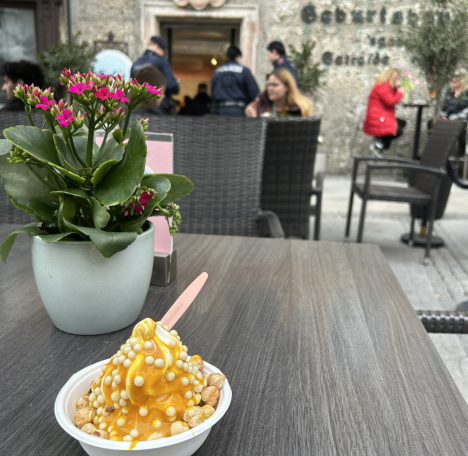 2026年3月9日_ザルツブルグ@オーストリア