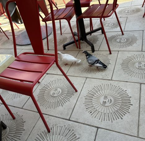 2026年3月16日_ミラノ→ベネチア@イタリア