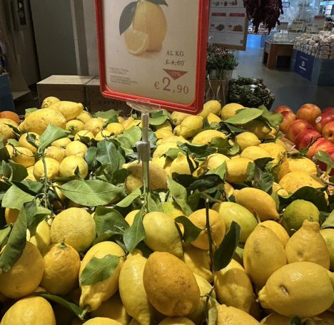 2026年3月24日_ローマ@イタリア