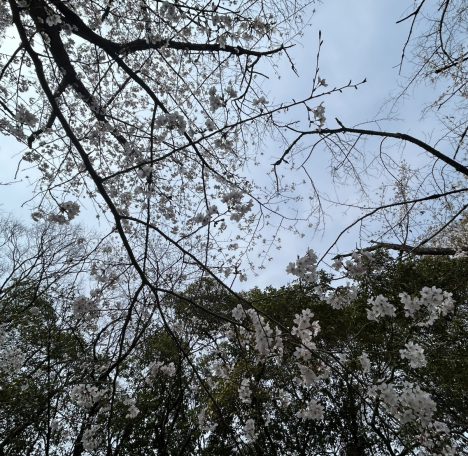 全国ニュース。