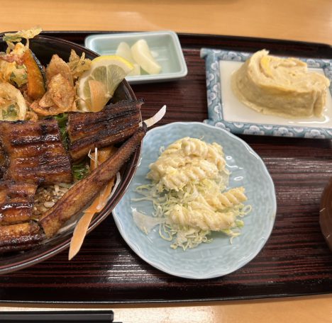 魚さかな<゜)))彡