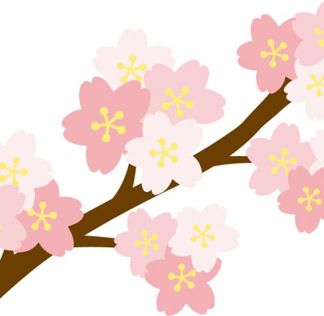 一人花見
