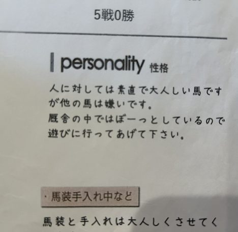 たまちゃん。