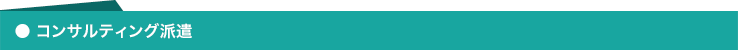 コンサルティング派遣